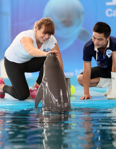 作为一名出 作为一名出